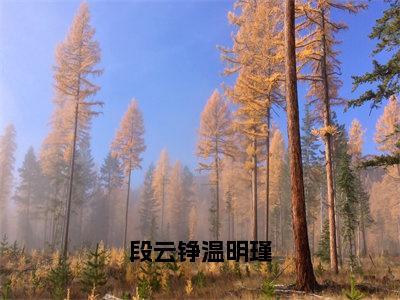 温明瑾段云铮全文免费阅读_（段云铮温明瑾免费阅读无弹窗）温明瑾段云铮最新章节列表笔趣阁