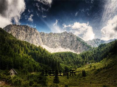 小说（杜若杜青禾）杜若杜青禾精选片段阅读-小说杜若杜青禾免费版最新更新阅读