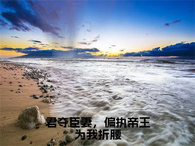 君夺臣妻，偏执帝王为我折腰（柳如眉）全文免费阅读_君夺臣妻，偏执帝王为我折腰免费阅读最新章节列表笔趣阁（柳如眉）