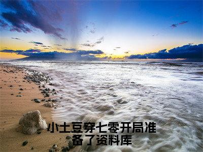 【完整版】（小土豆穿七零开局准备了资料库小说白果果贺刚）精彩小说全本资源免费阅读结局无删节_白果果贺刚全章节阅读