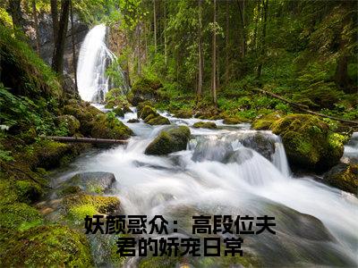 妖颜惑众：高段位夫君的娇宠日常全文免费阅读（南荞免费阅读无弹窗）妖颜惑众：高段位夫君的娇宠日常最新章节列表_笔趣阁