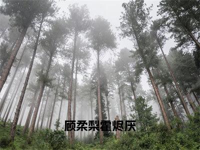 顾柔梨霍烬厌（顾柔梨霍烬厌）全文免费阅读无弹窗大结局_（顾柔梨霍烬厌）最新章节列表