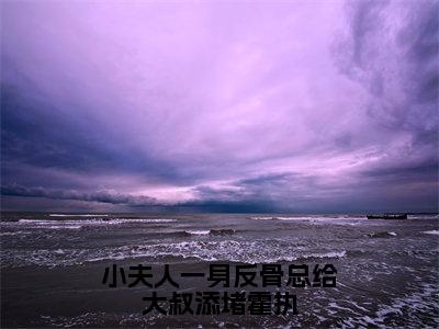 小夫人一身反骨总给大叔添堵霍执全文免费阅读无弹窗大结局，林星辰霍执小说最新章节