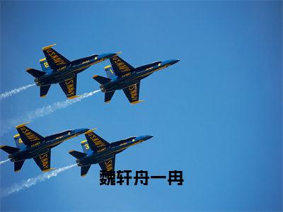 魏轩舟一冉全文（魏轩舟一冉）全文免费阅读无弹窗大结局_魏轩舟一冉免费最新章节列表_笔趣阁