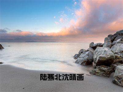 陆骞北沈晴画全文（沈晴画陆骞北）全文免费阅读无弹窗大结局_（沈晴画陆骞北）最新章节列表