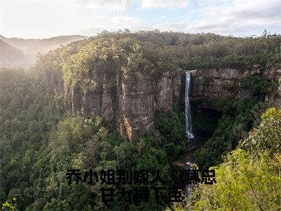 乔桑宁慕织弦（乔小姐别嫁人，慕总甘为裙下臣）今日爆款小说-（乔桑宁慕织弦）乔小姐别嫁人，慕总甘为裙下臣完结大结局免费阅读