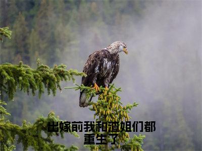 沈燕宁顾南景（出嫁前我和渣姐们都重生了）全文免费阅读无弹窗大结局_出嫁前我和渣姐们都重生了_笔趣阁