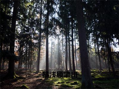 黎浅顾聿川（顾聿川黎浅）免费阅读_顾聿川黎浅小说免费阅读-笔趣阁