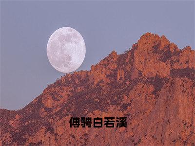 （全文）+（后续）（白若溪傅骋）傅骋白若溪老书虫推荐小说热文-傅骋白若溪最新更新免费阅读