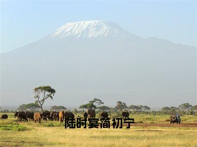 简初宁陆时宴的小说免费阅读（陆时宴简初宁的小说免费阅读）全文完整版免费阅读-陆时宴简初宁好书推荐