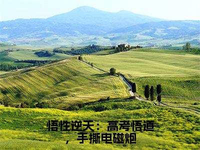 苏勤（悟性逆天：高考悟道，手撕电磁炮）全文免费阅读无弹窗大结局_悟性逆天：高考悟道，手撕电磁炮最新章节列表_笔趣阁