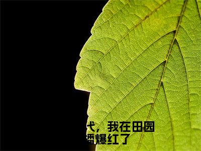 （番外）+（全文）重生年代，我在田园直播爆红了小说免费下载阅读_（重生年代，我在田园直播爆红了）宋红果最新章节列表_笔趣阁（宋红果）