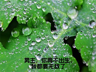 男主，你再不出生，我都要无敌了（陆茉雪）全文免费阅读无弹窗大结局_男主，你再不出生，我都要无敌了最新章节列表_笔趣阁（免费+番外）