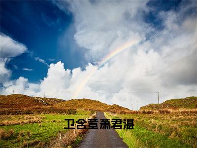 卫含章萧君湛小说免费阅读无弹窗-卫含章萧君湛（萧君湛卫含章）小说免费阅读无弹窗大结局