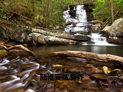 陆淮安沈慕乔快手小说（陆淮安沈慕乔）txt阅读大结局-抖音近期热门陆淮安沈慕乔全文免费