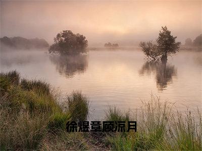 徐煜章顾凉月最新章节，徐煜章顾凉月今日热议小说完本阅读