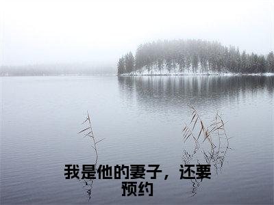 我是他的妻子，还要预约免费阅读（霍京隽宋向暖）全文免费阅读无弹窗大结局_我是他的妻子，还要预约免费阅读最新章节列表