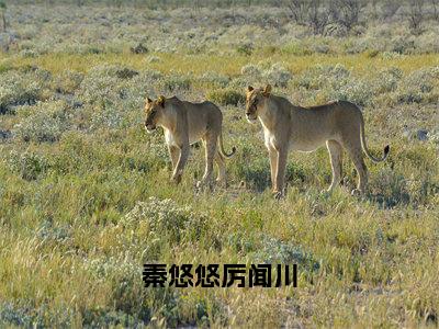 秦悠悠厉闻川小说好看吗-秦悠悠厉闻川厉闻川秦悠悠热门小说大结局阅读