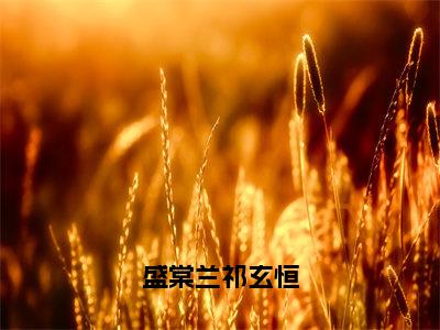 盛棠兰祁玄恒小说全文免费阅读（祁玄恒盛棠兰）全文免费祁玄恒盛棠兰读无弹窗大结局盛棠兰祁玄恒