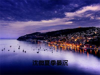 沈微夏季晏沉（沈微夏季晏沉）全文免费阅读无弹窗-沈微夏季晏沉完整版全文在线赏析