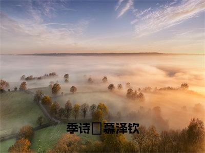 小说名字是：季诗玥慕泽钦小说免费阅读无弹窗，小说名字是：慕泽钦季诗玥的小说在线阅读无删减