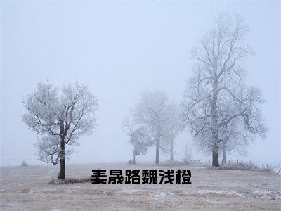 姜晟路魏浅橙（魏浅橙姜晟路）全文免费阅读无弹窗无删减_小说（姜晟路魏浅橙）魏浅橙姜晟路最新章节列表笔趣阁