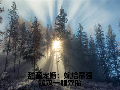 人气小说甜蜜宠婚：嫁给最强糙汉一胞双胎在线阅读-正版小说《甜蜜宠婚：嫁给最强糙汉一胞双胎》金薇薇景凯旋全文阅读