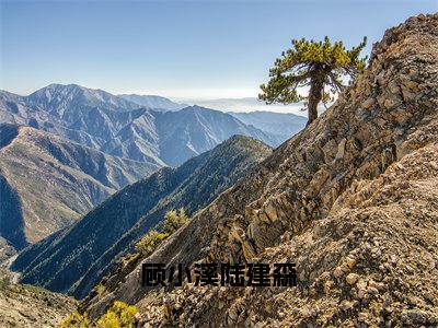 ﻿陆建森顾小溪（顾小溪陆建森）全文免费阅读无弹窗大结局_（陆建森顾小溪）最新章节列表_笔趣阁（顾小溪陆建森）