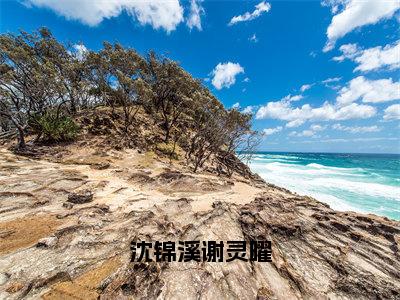 沈锦溪谢灵曜（沈锦溪谢灵曜）免费小说-沈锦溪谢灵曜小说完整版阅读