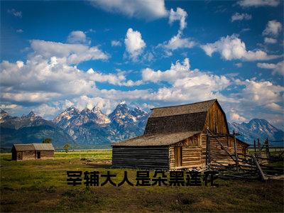 宰辅大人是朵黑莲花小说全文（顾七）全文免费阅读无弹窗大结局-（顾七）无弹窗免费阅读大结局