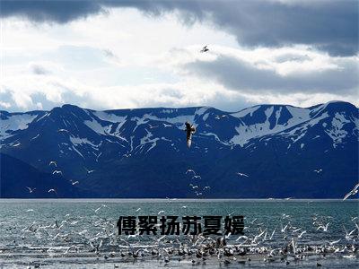 傅絮扬苏夏媛（苏夏媛傅絮扬全章节完整版）免费阅读_（苏夏媛傅絮扬）傅絮扬苏夏媛全文无删减免费阅读