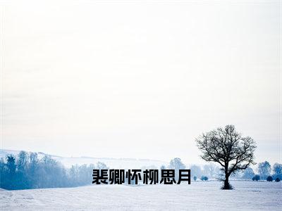 主角为柳思月裴卿怀的小说精彩阅读-裴卿怀柳思月最新章节阅读