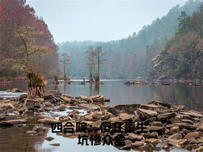 四合院：傻柱重生，坑惨众禽全文免费阅读无弹窗大结局_（何雨柱）四合院：傻柱重生，坑惨众禽热门章节在线阅读笔趣阁（何雨柱）