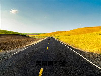 孟景宸楚瑜小说楚瑜孟景宸最新更新—楚瑜孟景宸小说美文赏析