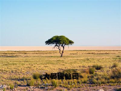 小说（大晏缉仙司）荣非全文免费阅读无弹窗-荣非小说全文在线赏析（今日更新最新章节）