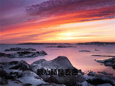 顾心晴陆冬海（顾心晴陆冬海）精选小说大结局阅读-抖音新书热荐顾心晴陆冬海