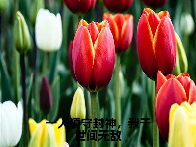 一人镇守封神，我于世间无敌最新章节（子受）全文免费阅读无弹窗大结局_子受免费阅读