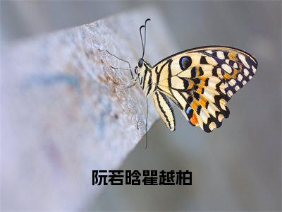 阮若晗瞿越柏（阮若晗瞿越柏）正版小说最新章节在线阅读_（阮若晗瞿越柏全文免费阅读无弹窗）