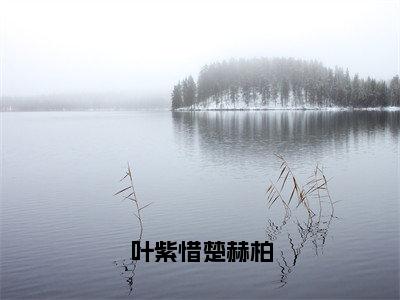 叶紫惜楚赫柏楚赫柏叶紫惜小说免费阅读-叶紫惜楚赫柏抖音新书热荐