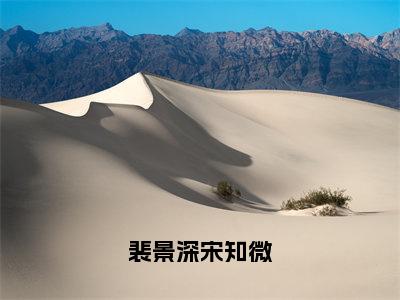 《裴景深宋知微》宋知微裴景深（大结局小说全集完整版）宋知微裴景深小说_裴景深宋知微全文阅读笔趣阁