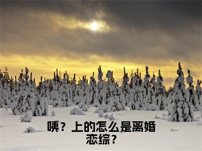 （免费）+（结局）咦？上的怎么是离婚恋综？美文欣赏完整版，江念谢无喻精彩章节在线阅读