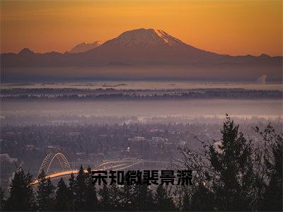 宋知微裴景深（裴景深宋知微）全文免费阅读无弹窗大结局_宋知微裴景深最新章节列表