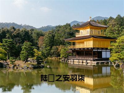 陆洐之安羽柒（陆洐之安羽柒小说）全文免费阅读无弹窗大结局_（陆洐之安羽柒小说）陆洐之安羽柒最新章节列表