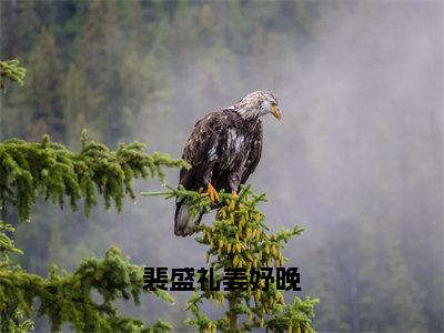 裴盛礼姜妤晚（姜妤晚裴盛礼）小说免费下载全本-裴盛礼姜妤晚（姜妤晚裴盛礼完整版）免费阅读