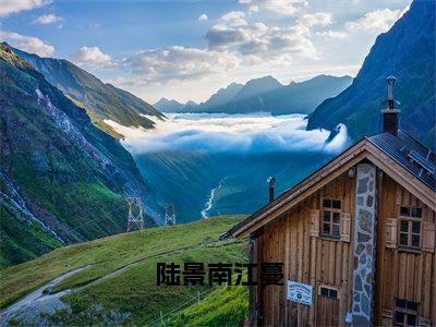 陆景南江蔓全文免费阅读_（江蔓陆景南免费阅读无弹窗）陆景南江蔓高赞小说阅读