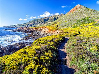 叶微澜陆景离（陆景离叶微澜）全文免费阅读无弹窗大结局_陆景离叶微澜_笔趣阁