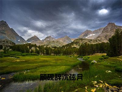 顾砚辞沈弦月（沈弦月顾砚辞）精选好书-沈弦月顾砚辞无删减版在线阅读（沈弦月顾砚辞全文免费阅读）