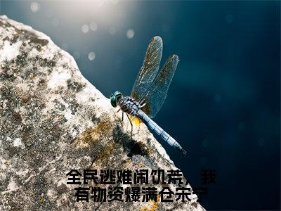 无广告小说全民逃难闹饥荒，我有物资爆满仓宋宁全文免费阅读无弹窗大结局-宋宁谢临洲川在线阅读