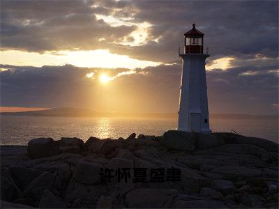 许怀夏盛聿小说（许怀夏盛聿）全章节完整版免费小说_许怀夏盛聿最新章节在线阅读_笔趣阁