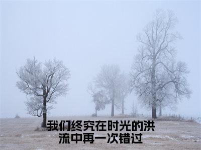 我们终究在时光的洪流中再一次错过（苏向晚江崇年）小说全文免费阅读无弹窗_（苏向晚江崇年）我们终究在时光的洪流中再一次错过小说全文免费阅读最新章节列表笔趣阁